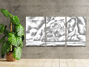 Presladak buldog (set od 3) - Dottingo