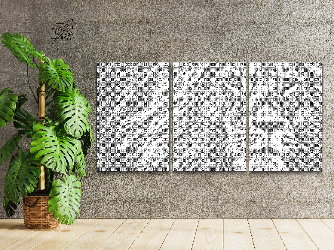 Kralj životinja (set od 3) - Dottingo