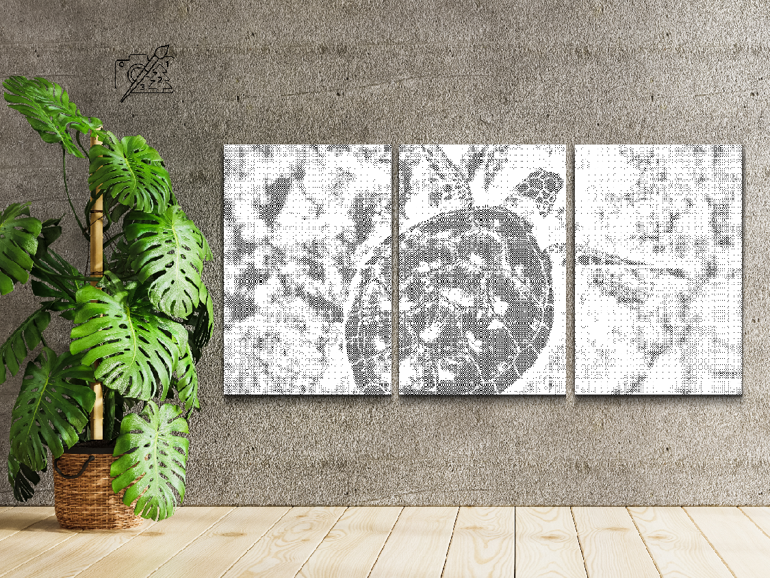 Morska kornjača (set od 3) - Dottingo