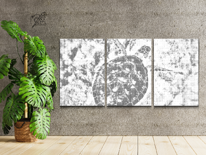 Morska kornjača (set od 3) - Dottingo