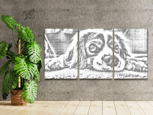 Štene s molećivim očima (set od 3) - Dottingo