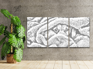 Pogled šteneta (set od 3) - Dottingo