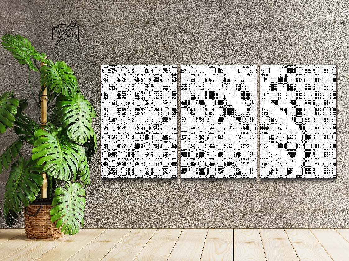 Slatki mačić (set od 3) - Dottingo