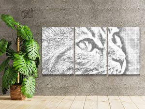 Slatki mačić (set od 3) - Dottingo