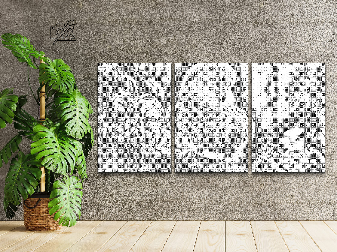 Papagaj (set od 3) - Dottingo