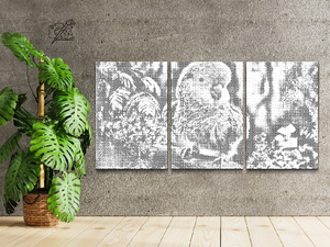 Papagaj (set od 3) - Dottingo