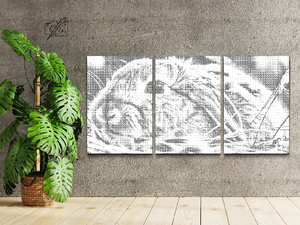 Zec (set od 3) - Dottingo