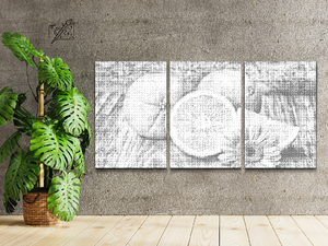 Citrusi, naranča (set od 3) - Dottingo