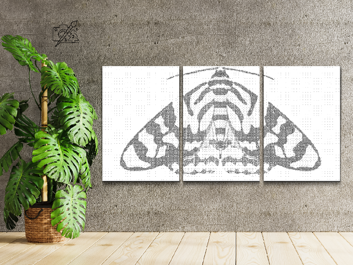 Šareni moljac (set od 3) - Dottingo