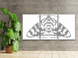 Šareni moljac (set od 3) - Dottingo