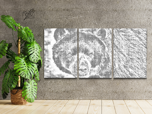 Medvjed (set od 3) - Dottingo