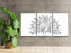 Ponosni paun (set od 3) - Dottingo