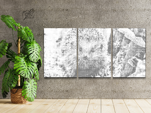 Jež, noćno stvorenje (set od 3) - Dottingo