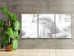 Ptica grabljivica (set od 3) - Dottingo