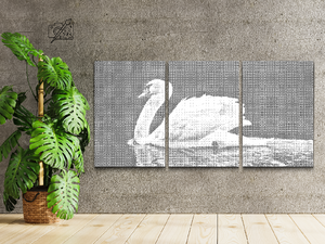 Bijeli labud (set od 3) - Dottingo