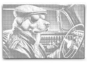 Pas u crnom kabrioletu - Dottingo