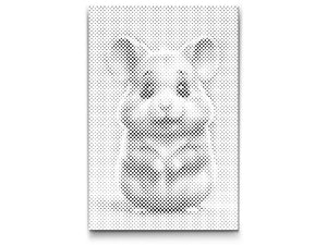 Hrčak za djecu - Dottingo