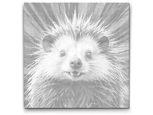 Dikobraz u nijansama crvene i plave - Dottingo