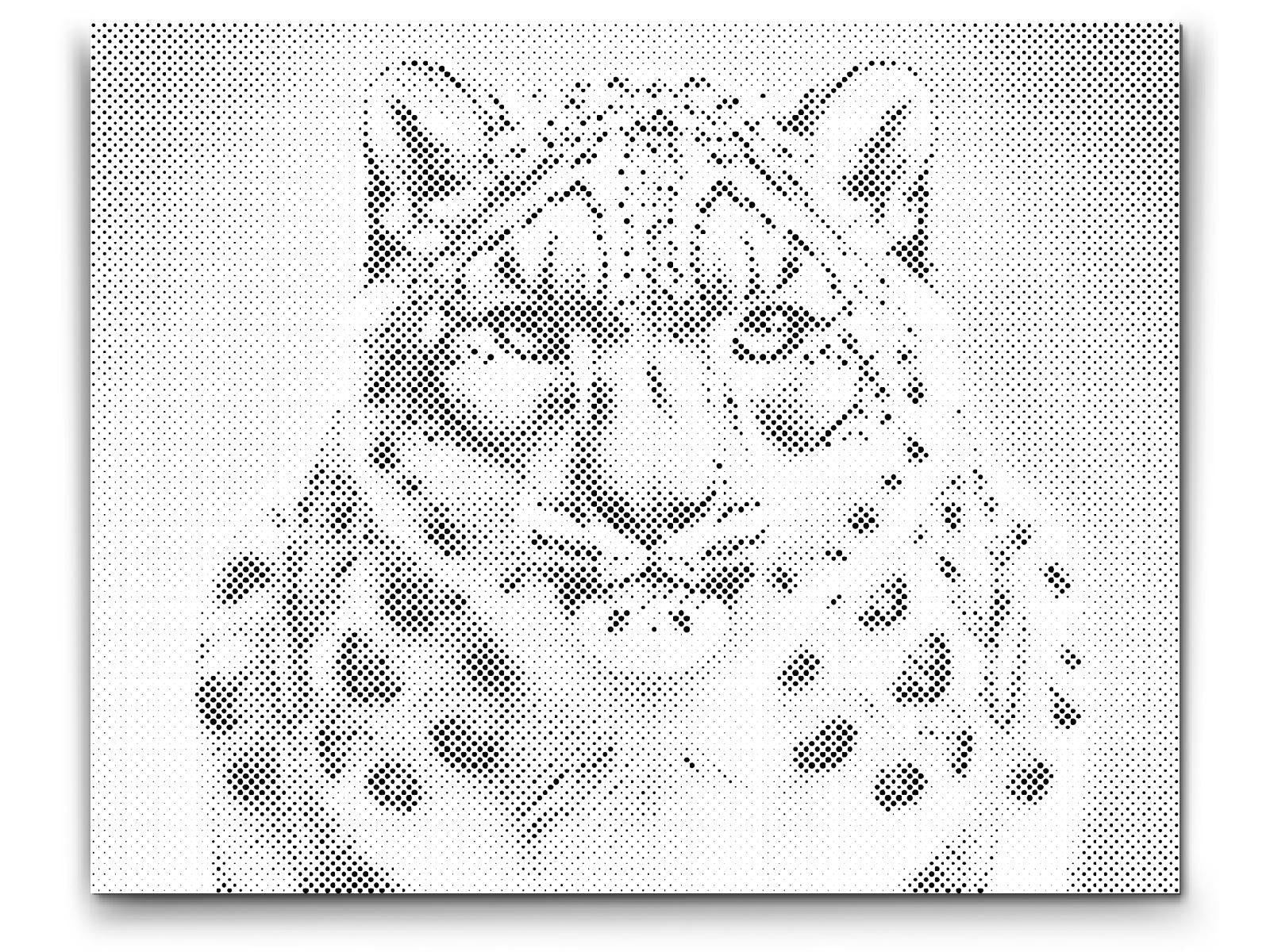 Leopard - Dottingo