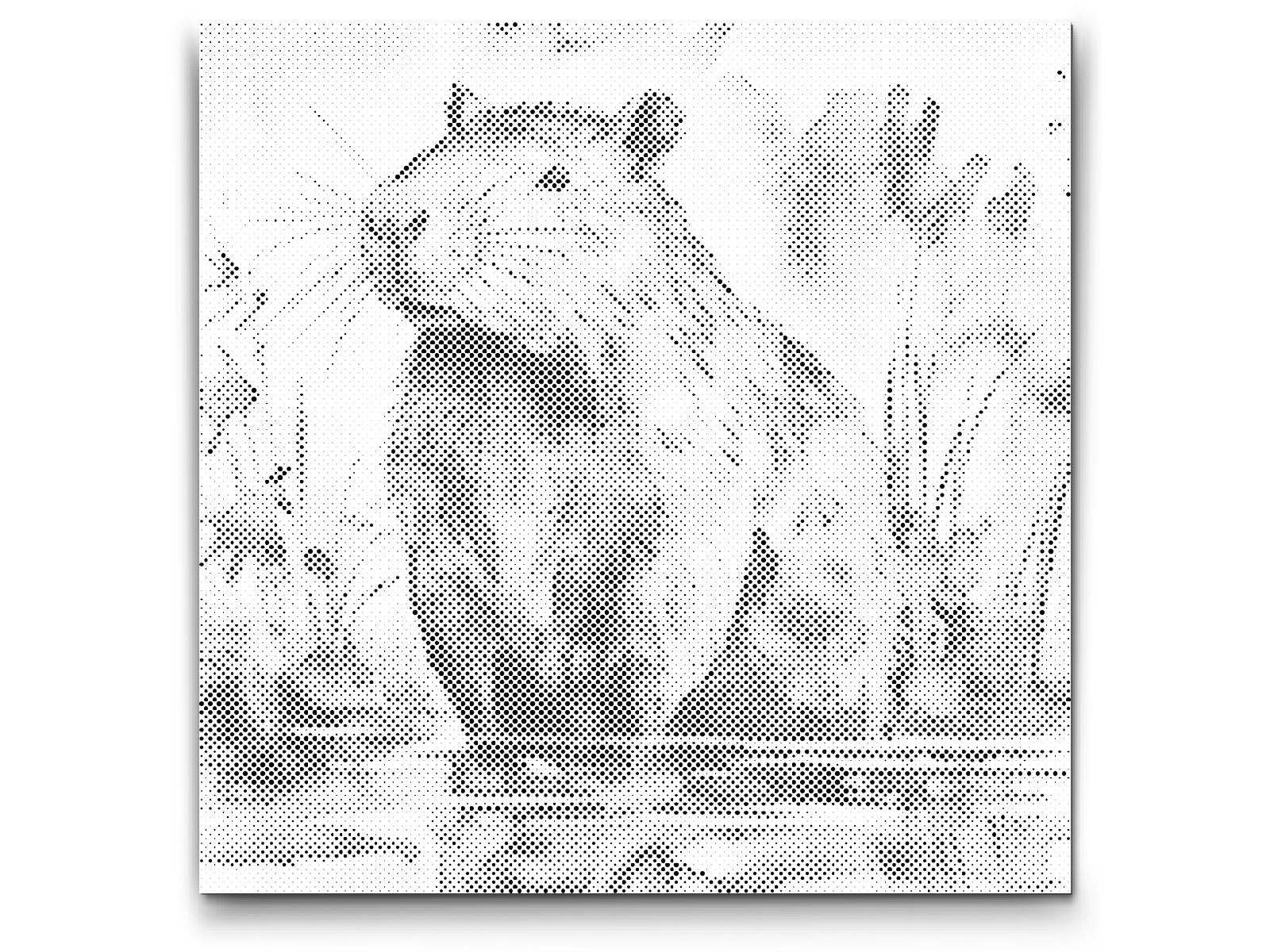 Kapibara 2 - Dottingo