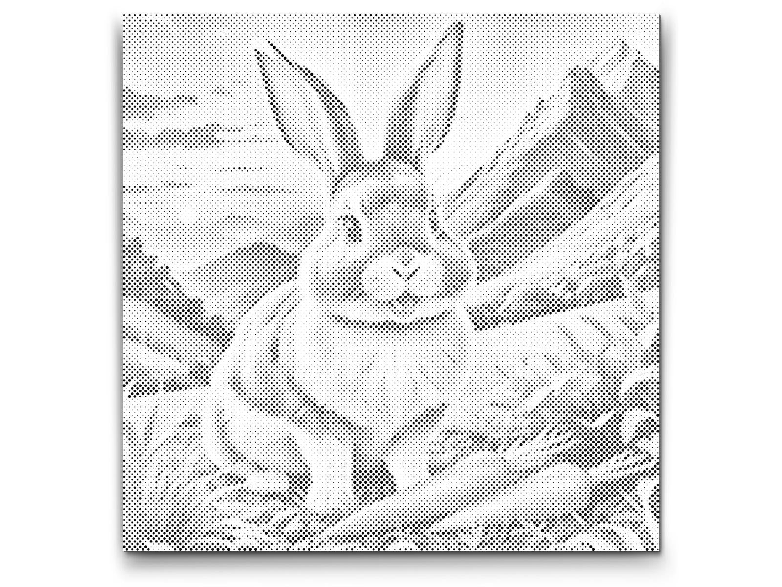 Veseli zeko s mrkvom - Dottingo