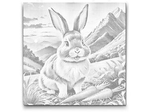 Veseli zeko s mrkvom - Dottingo