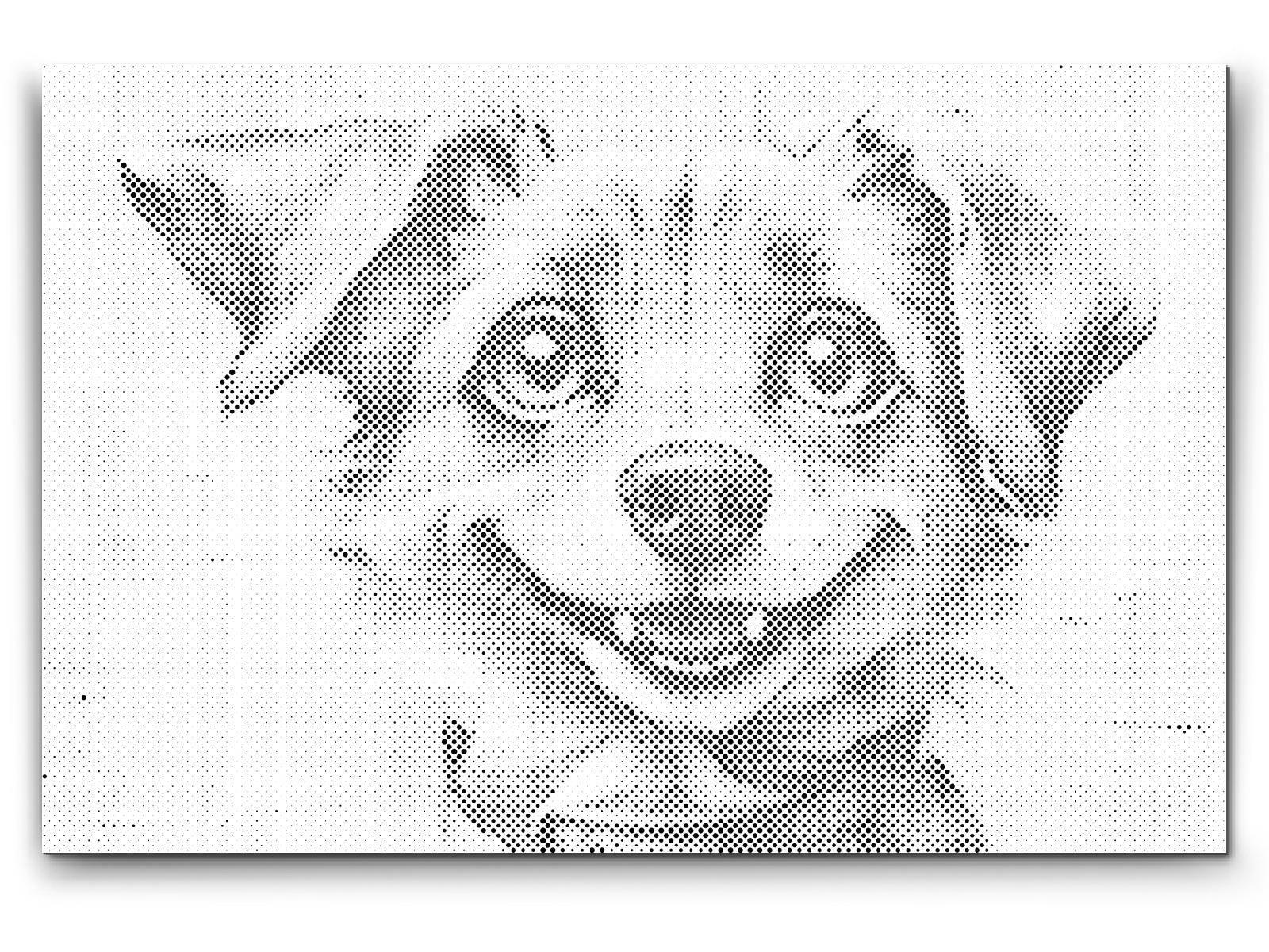 Veseli pas 2 - Dottingo