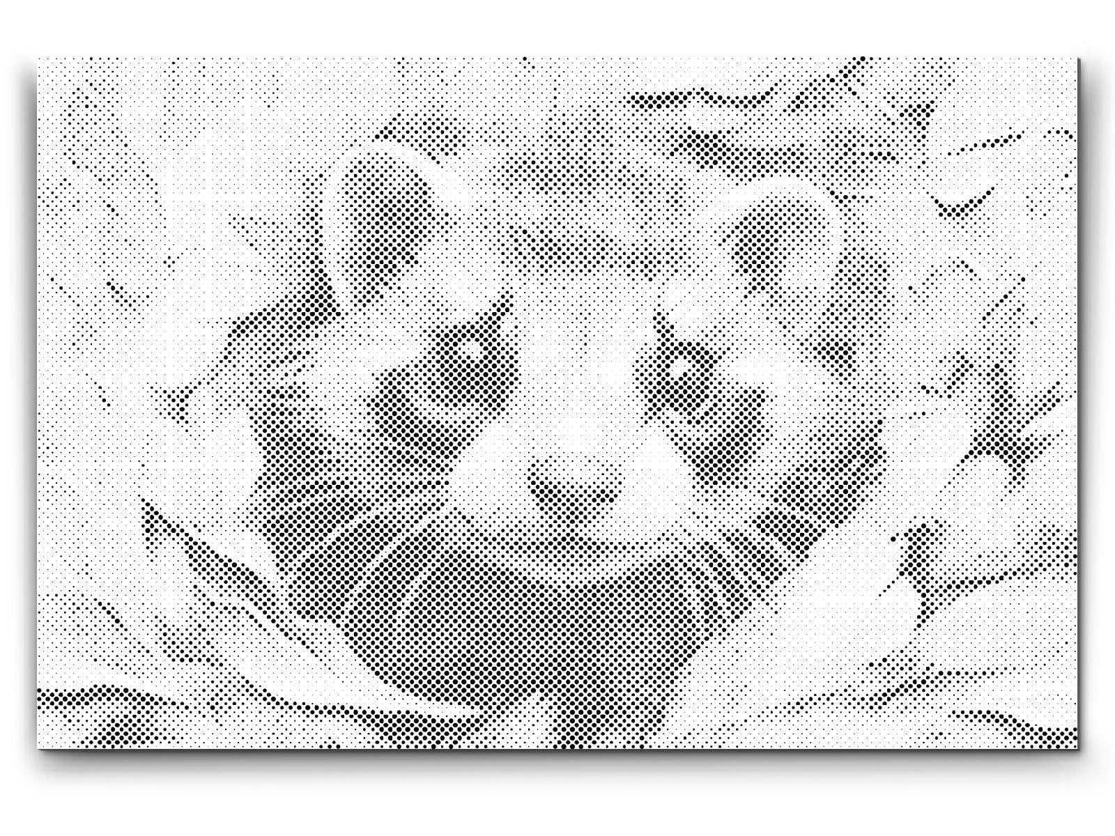 Vesela feretka - Dottingo