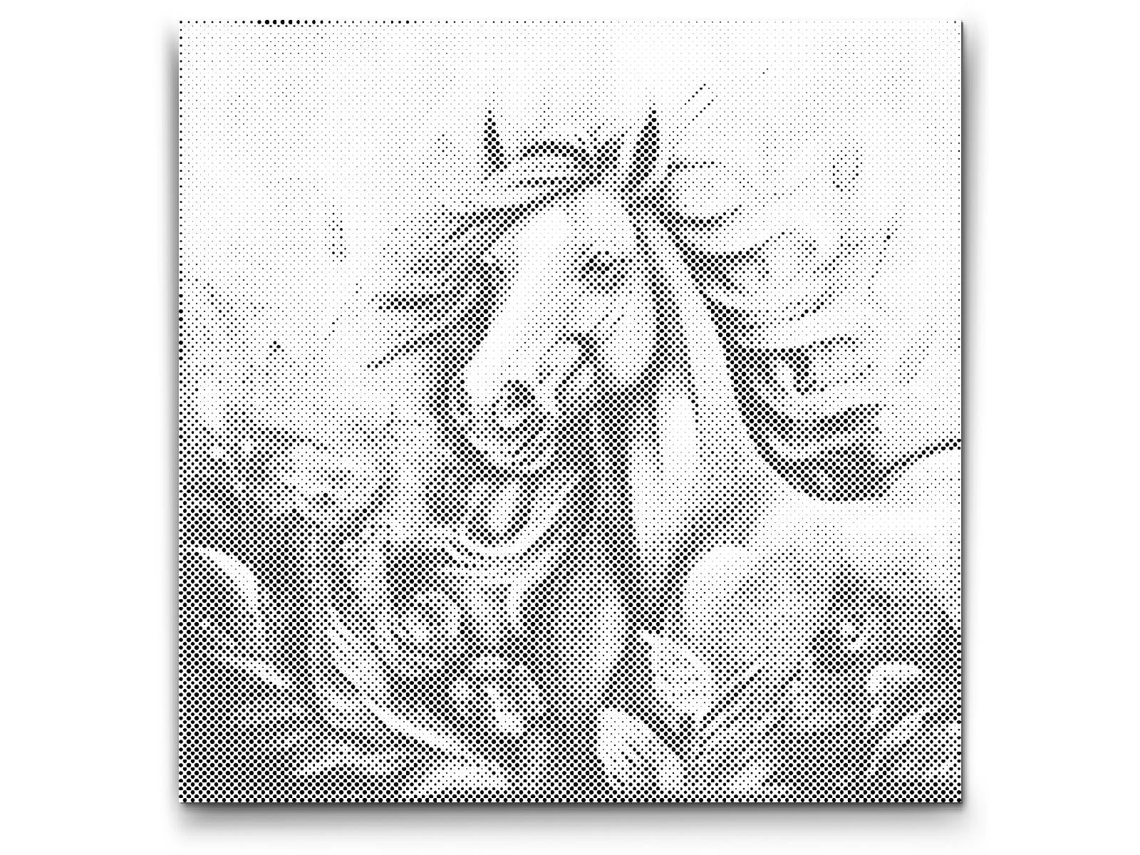 Veseli konj - Dottingo