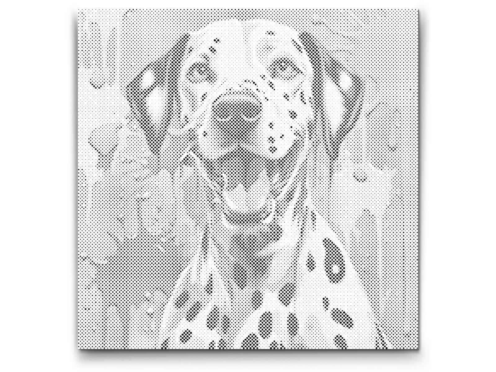 Šareni dalmatin - Dottingo