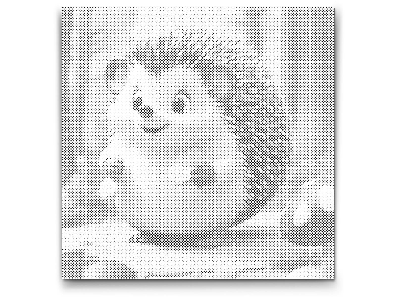 Slatki jež - Dottingo