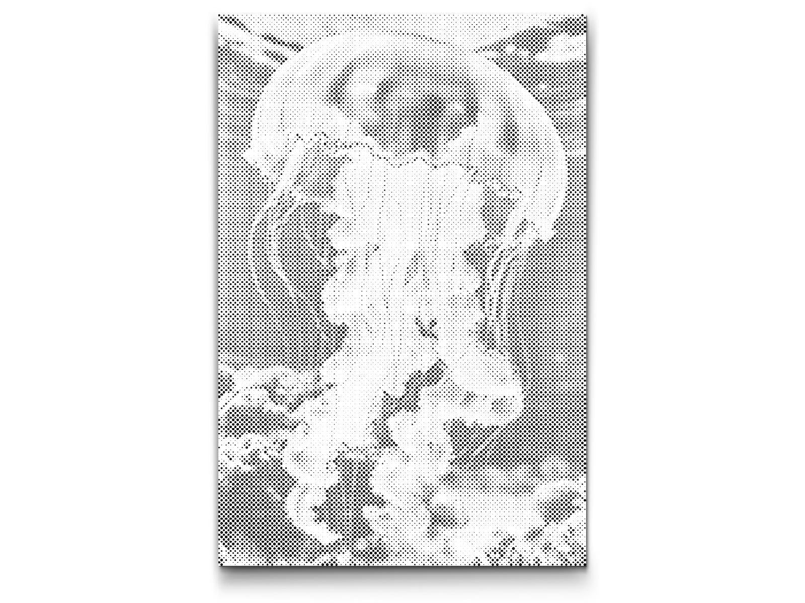 Meduza u moru - Dottingo