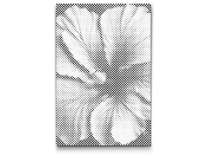 Cvijet hibiskusa - Dottingo