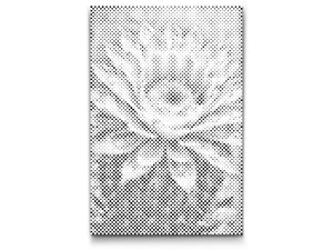 Cvijet kaktusa - Dottingo