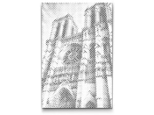 Notre Dame izbliza - Dottingo