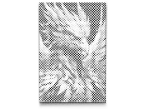 Šareni feniks - Dottingo