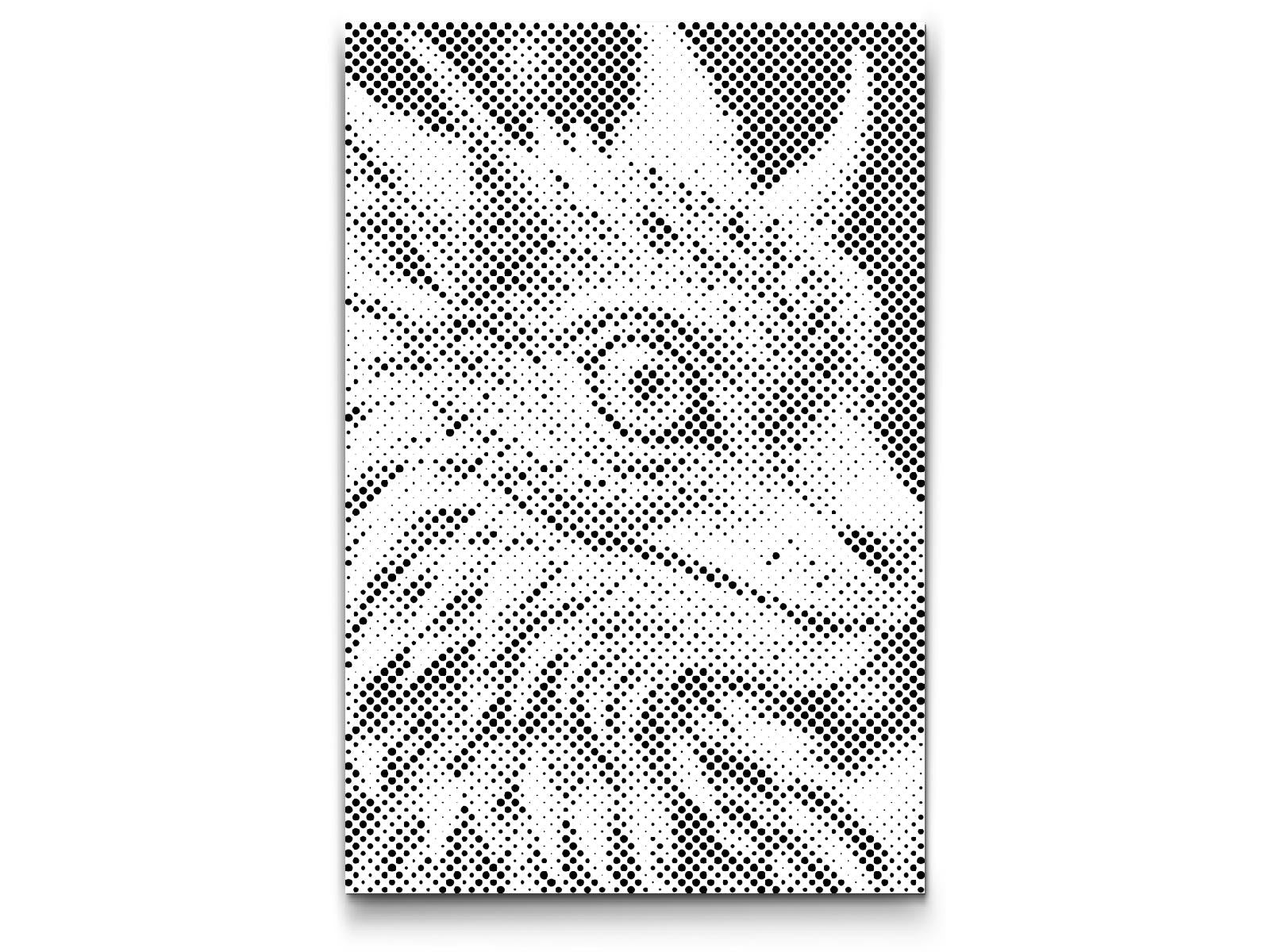 Dječji zmaj - Dottingo