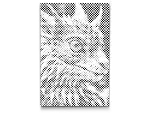 Dječji zmaj - Dottingo