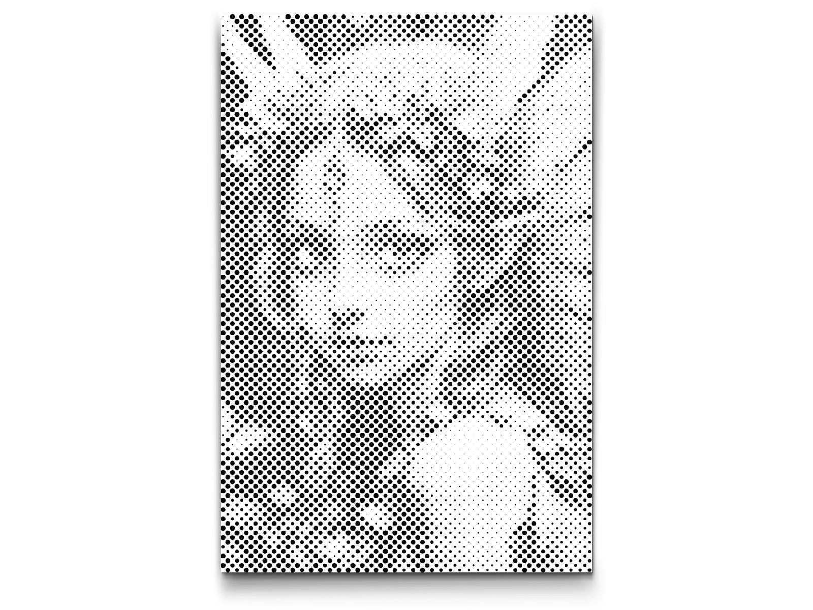 Vila iz začarane šume - Dottingo