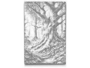 Bajkovita šuma - Dottingo