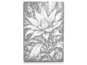 Čarobni cvijet - Dottingo