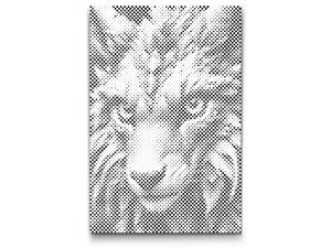 Čarobna lisica iz šume - Dottingo