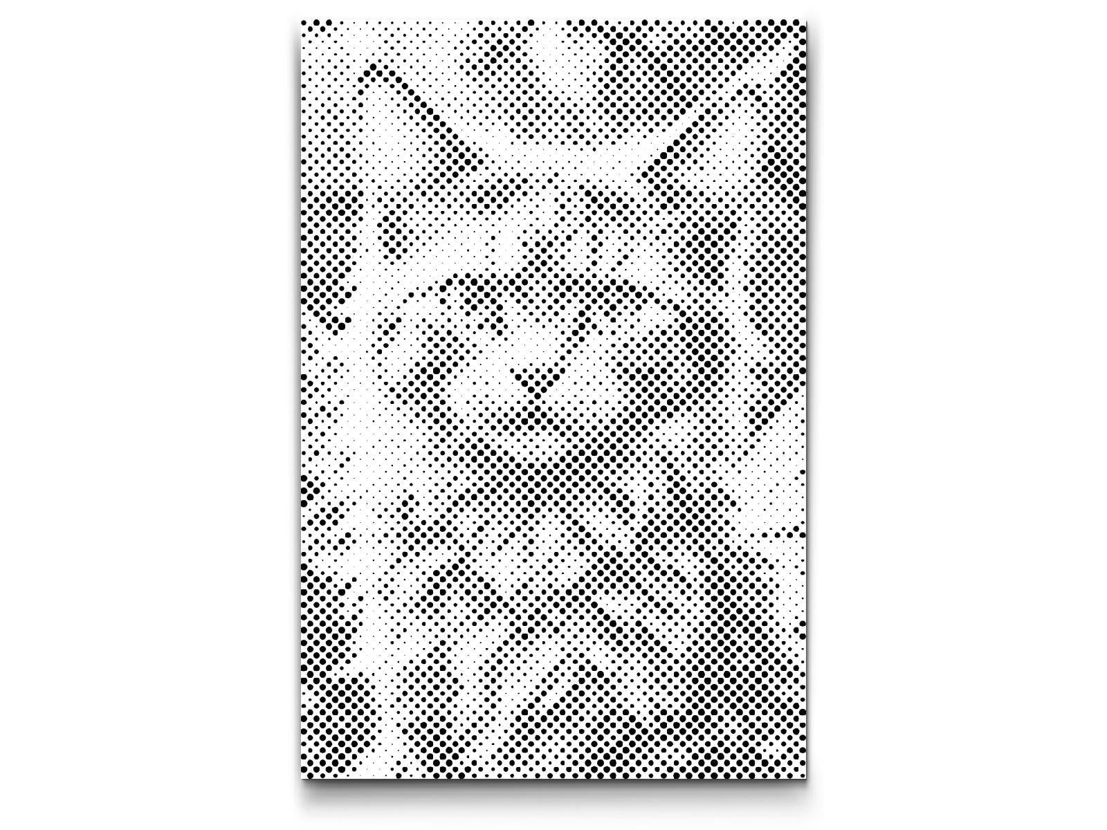 Čarobna krilata mačka - Dottingo