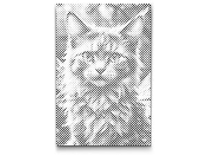 Čarobna krilata mačka - Dottingo