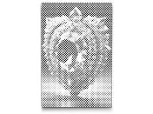 Čarobni dragi kamen - Dottingo