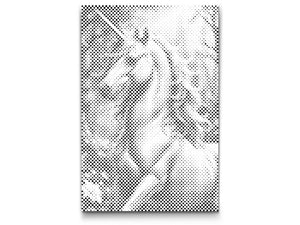 Jednorog iz začarane šume - Dottingo