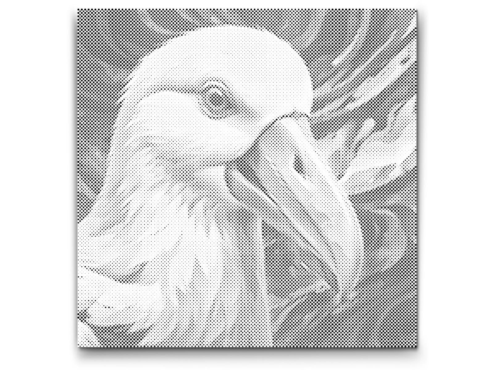 Albatros u nijansama crvene i plave - Dottingo