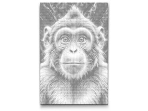 Majmun u nijansama tamnotirkizne - Dottingo