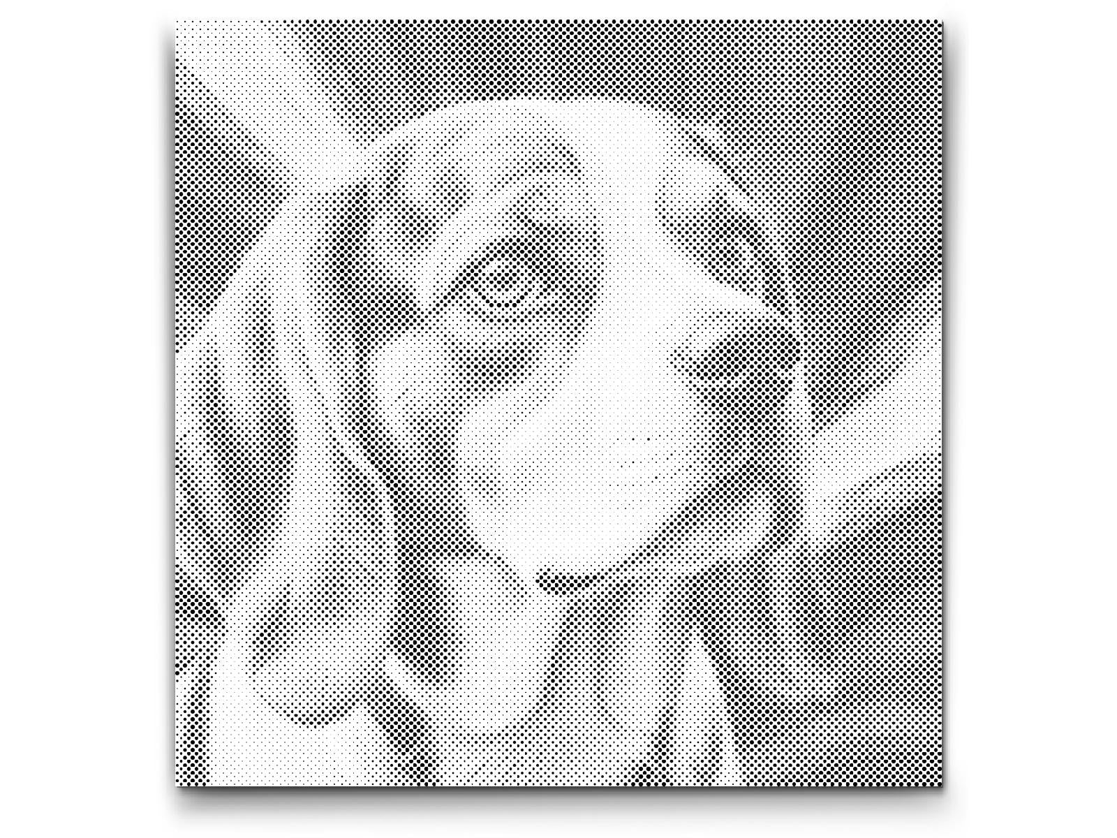 Beagle u nijansama crvene i plave - Dottingo