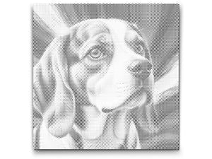 Beagle u nijansama crvene i plave - Dottingo